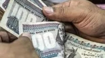 بالرقم القومي.. خطوات الاستعلام عن المعاش وتفاصيل نظام التأمينات الإضافي الجديد للمستفيدين